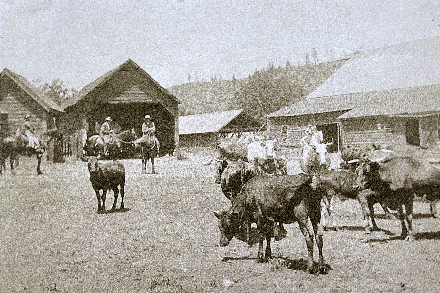 The original ranch hands